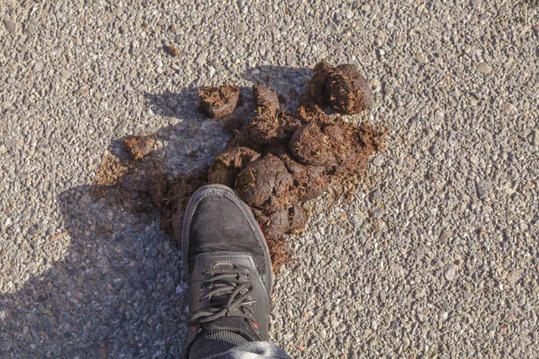 Sen o gównie: Znaczenie i interpretacja symboli w sennikach