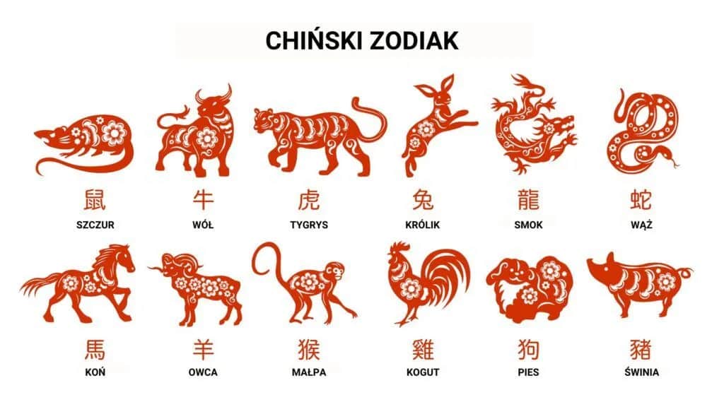 Poznaj cechy chińskich znaków zodiaku: Kto jest kim w horoskopie